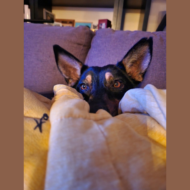 Photo of Lucy