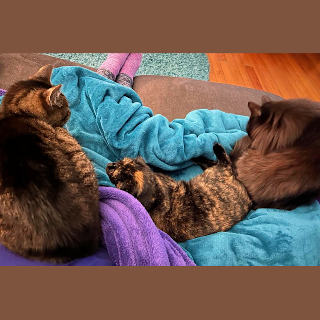 Photo of 🍹Paloma🍹