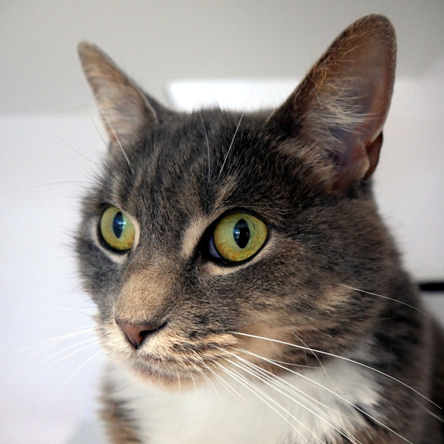 Photo of Shelby Sta014569