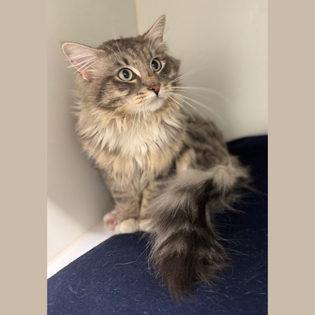 Photo of Jasper 