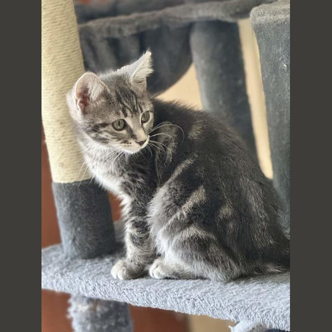 Photo of Zena