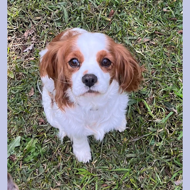 Photo of Toby And Cany Gurl 