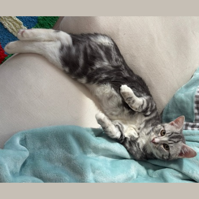Photo of Mimi