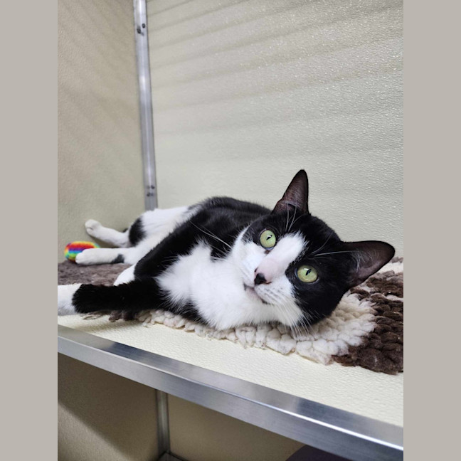 Photo of 💕 Yin 5660 💕