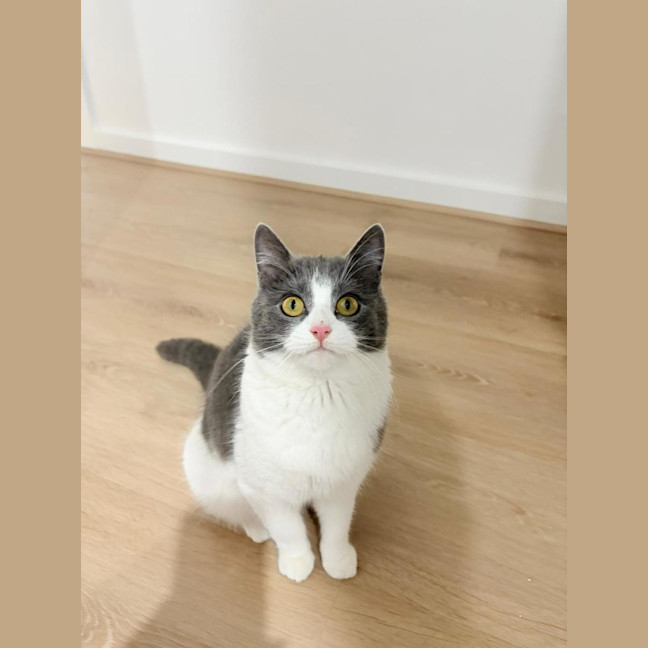 Photo of Penelope