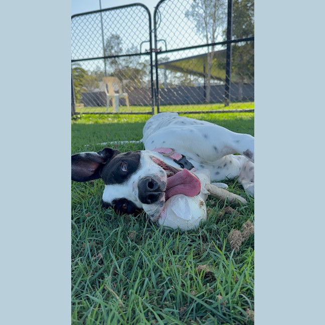 Photo of Bubble