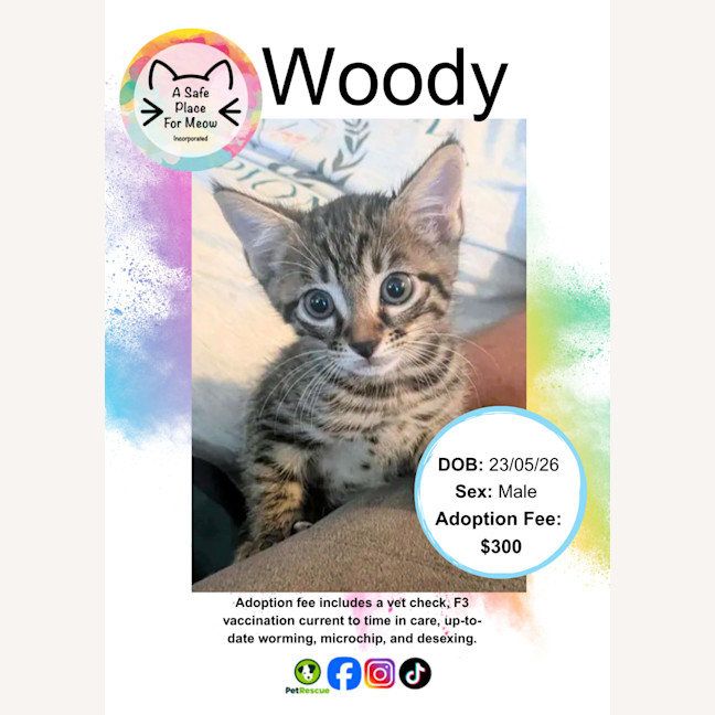 Photo of Woody
