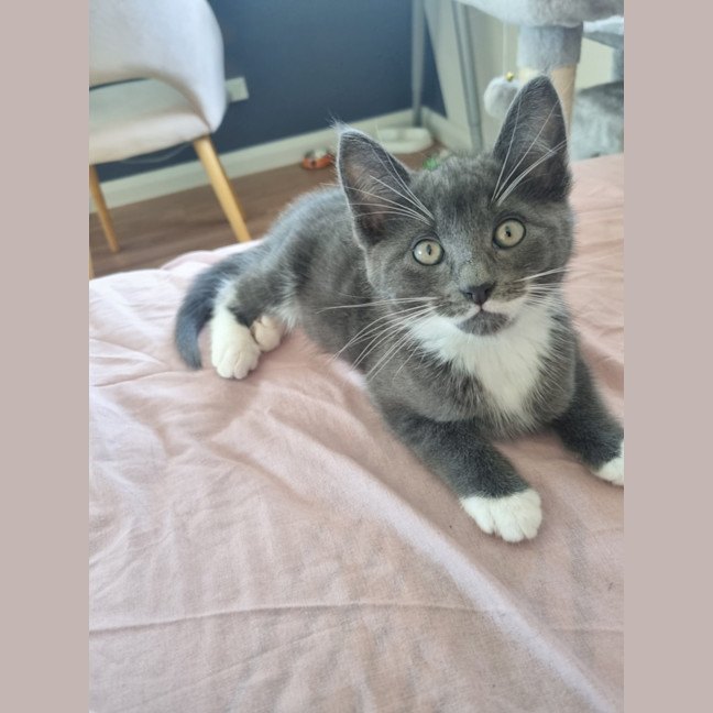 Photo of Louie