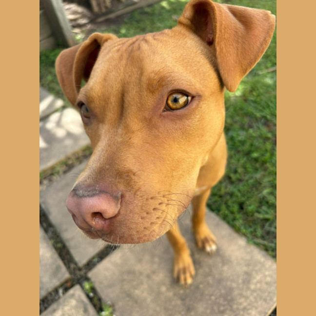 Photo of Murphy