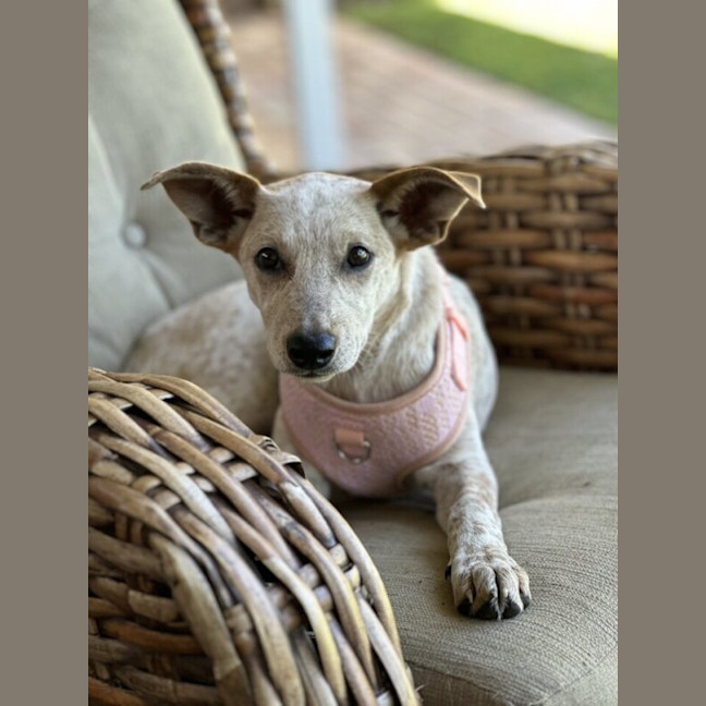 Photo of Sasha