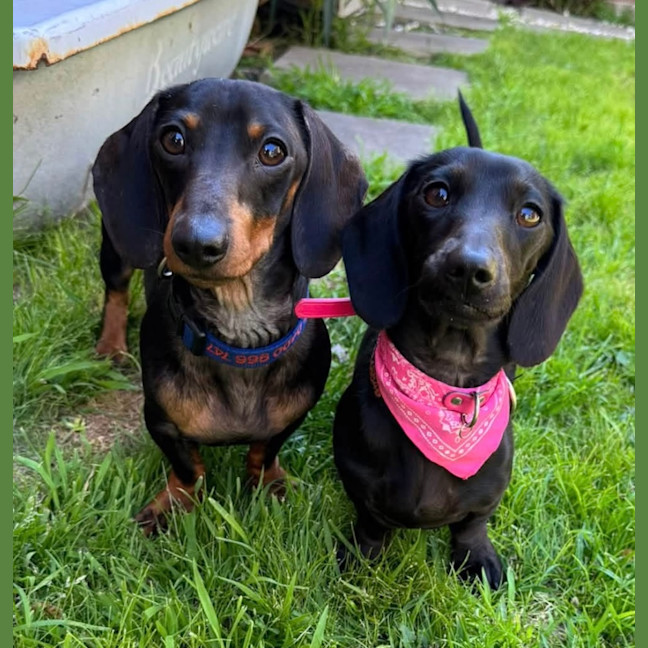 Photo of Chunka & Zativa 