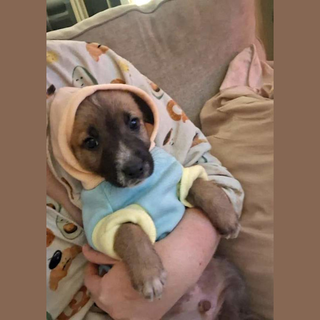 Photo of Milo