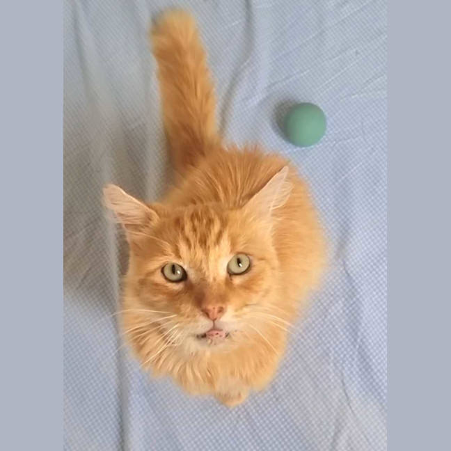 Photo of Theo