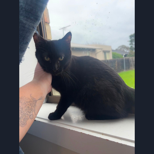 Photo of Morticia