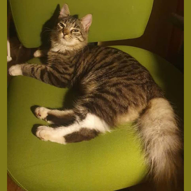 Photo of Rocky