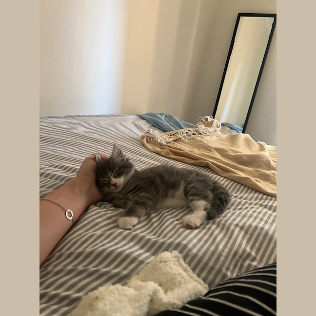 Photo of Fionn