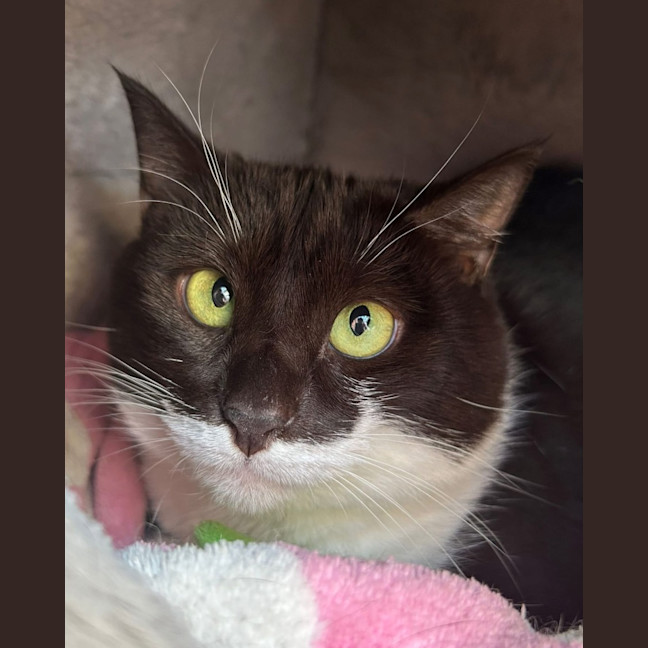 Photo of Maggie