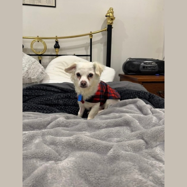Photo of Jasper