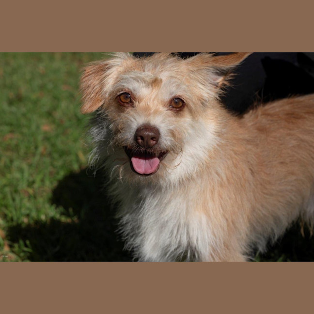 Photo of Buster Bulleau