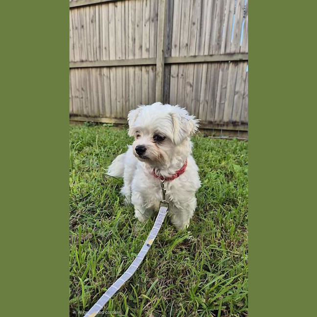 Photo of Bickie