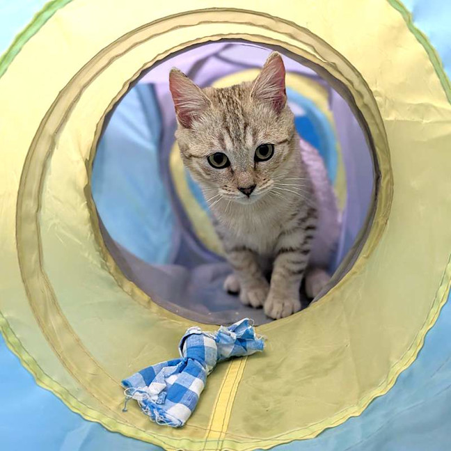 Photo of Amara