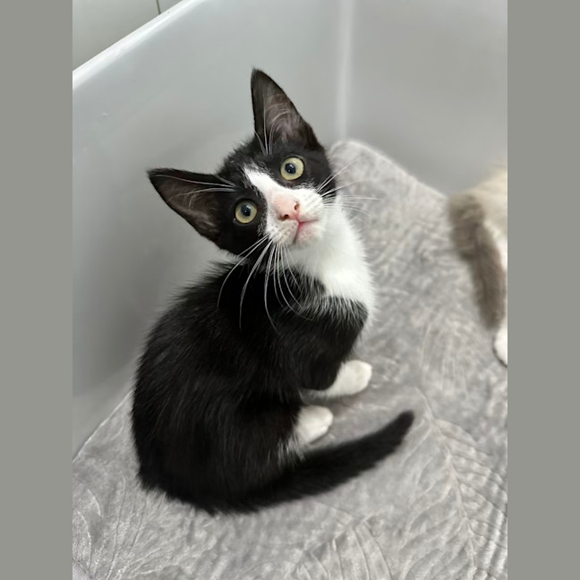 Photo of Madame Morrible