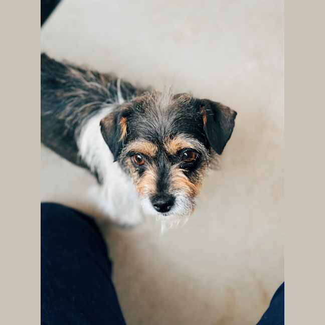 Photo of Roxy