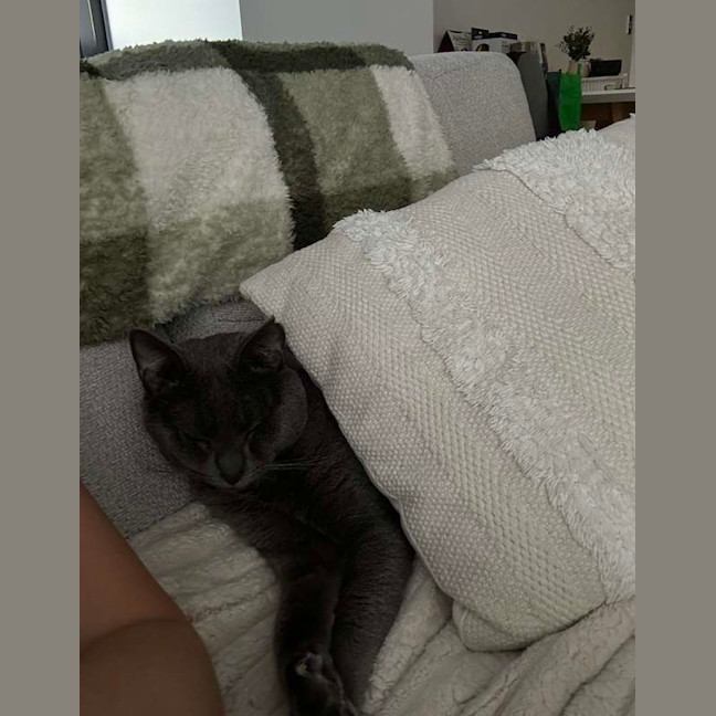 Photo of Sweetie Boy