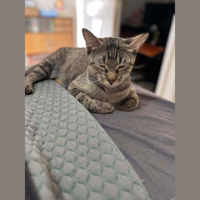 Photo of Zara
