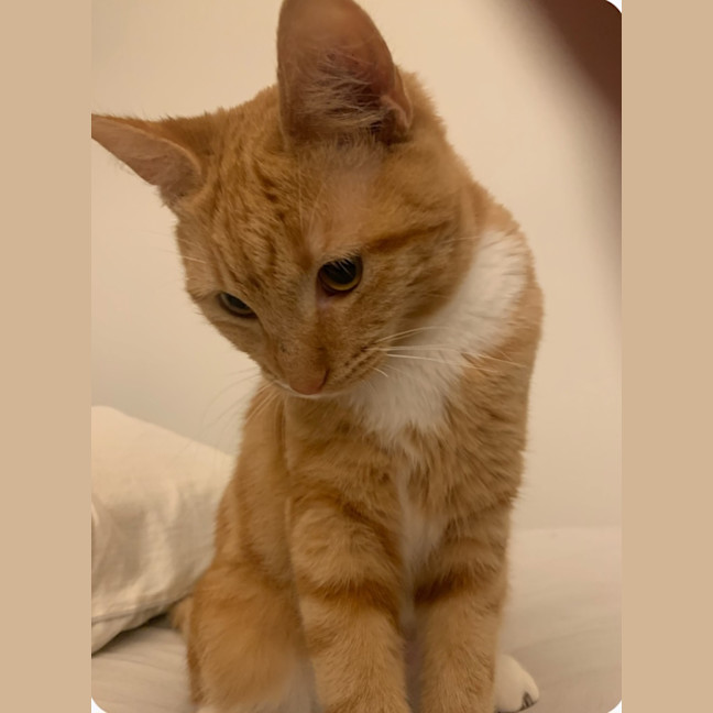 Photo of Sandi
