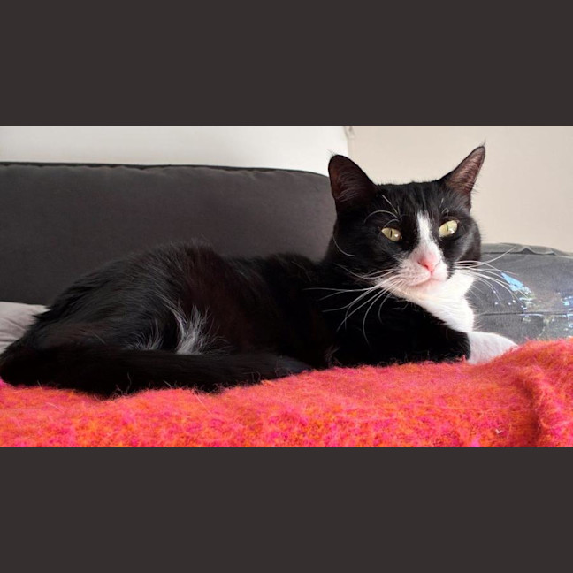 Photo of Penelope Babbington