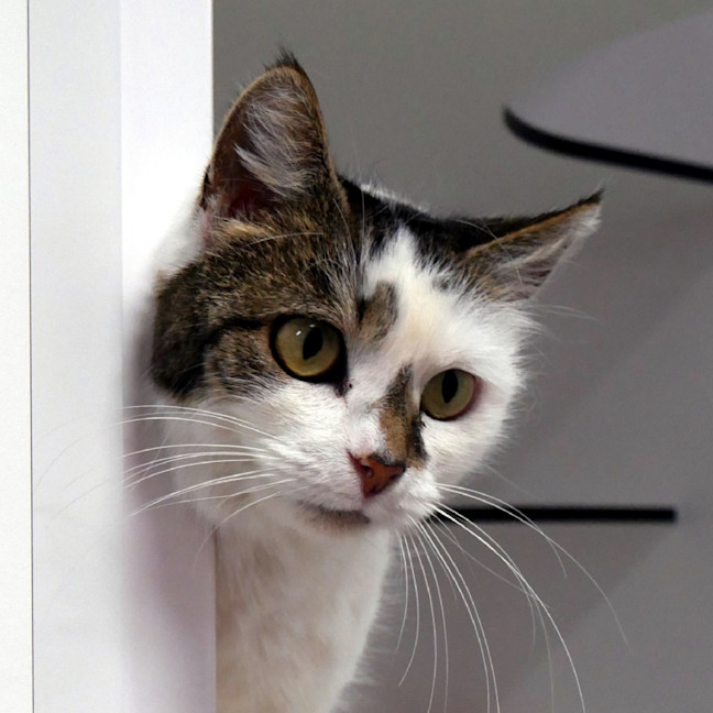 Photo of Marley Sta014115