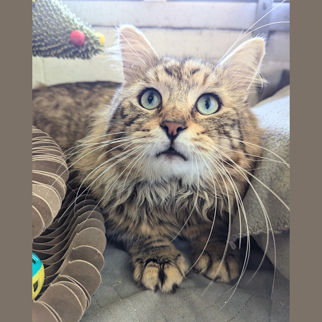 Photo of Charlie