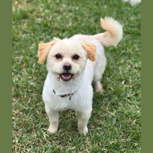 Photo of Krispy Kreme 