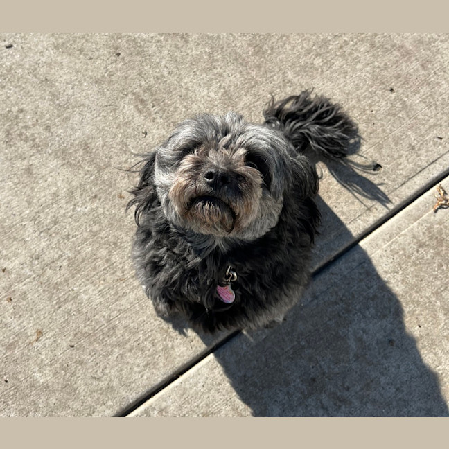 Photo of Grace