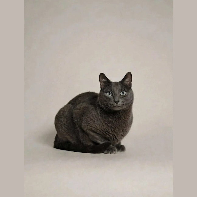 Photo of Max