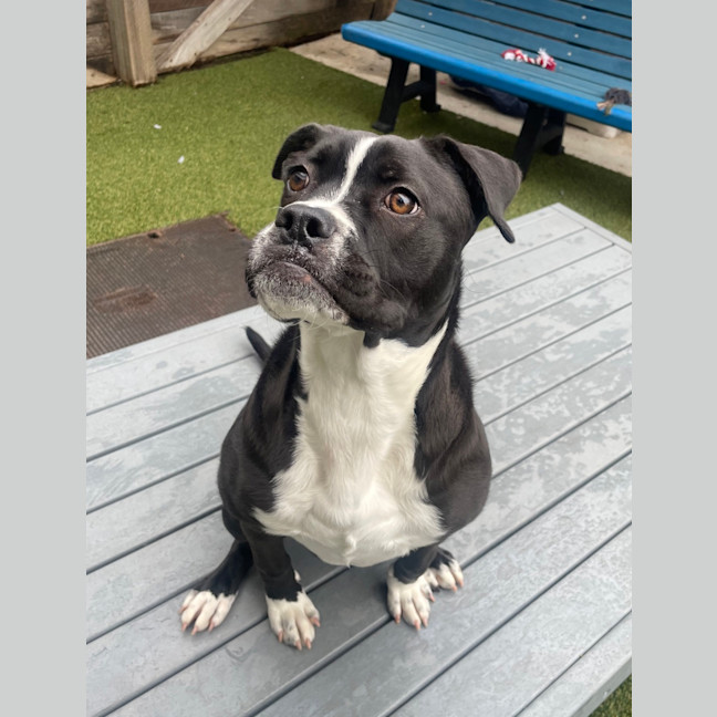 Photo of Rubie  Jane