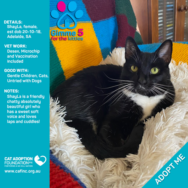 Photo of Shay La Just $39 Limited Time!