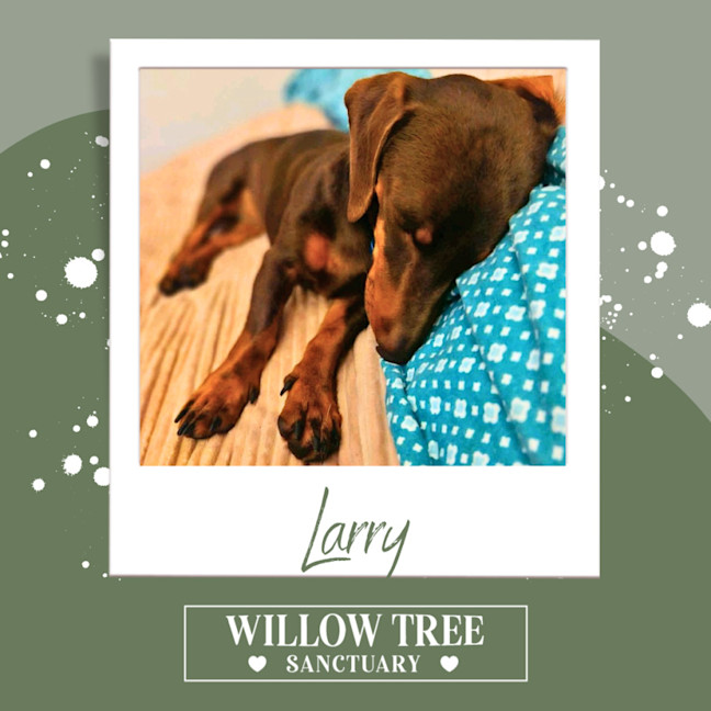 Photo of Larry