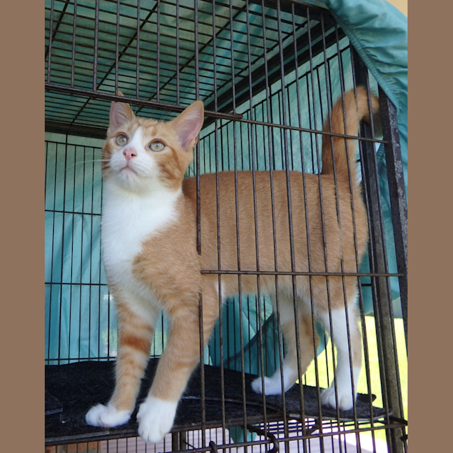 Photo of Brooke And Bruce