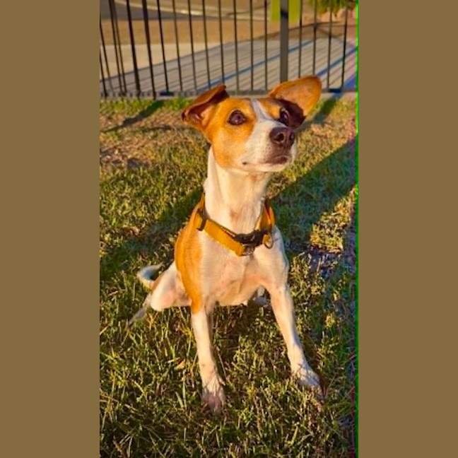 Photo of Bailee