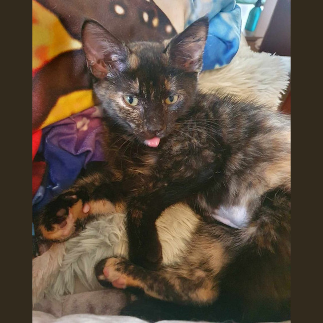 Photo of Tiny Tina