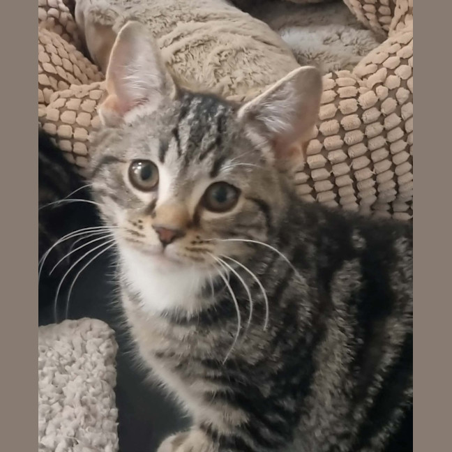Photo of Suki