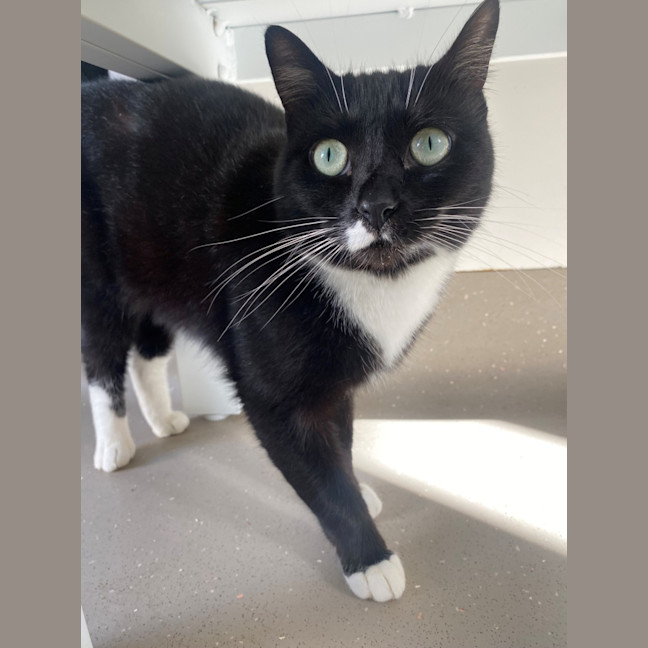 Photo of C1491 Billie