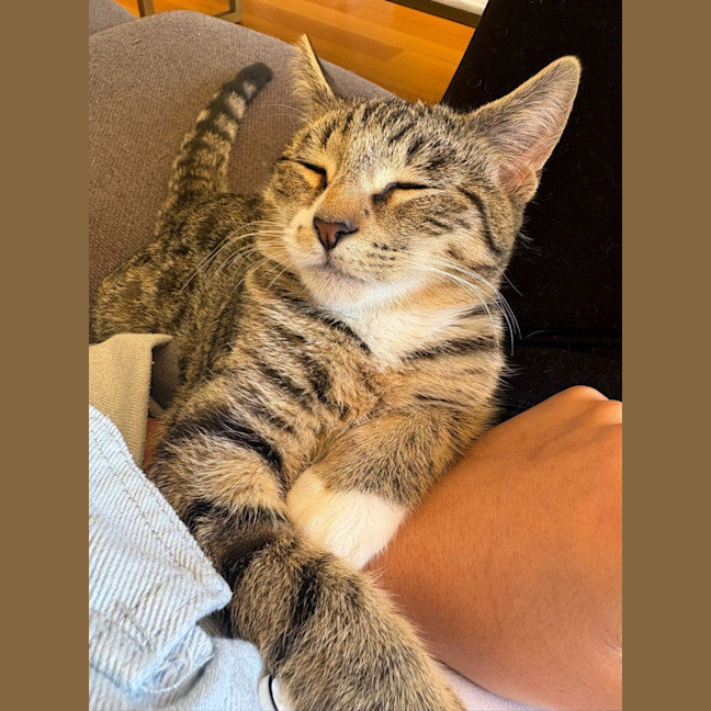 Photo of Billy Button