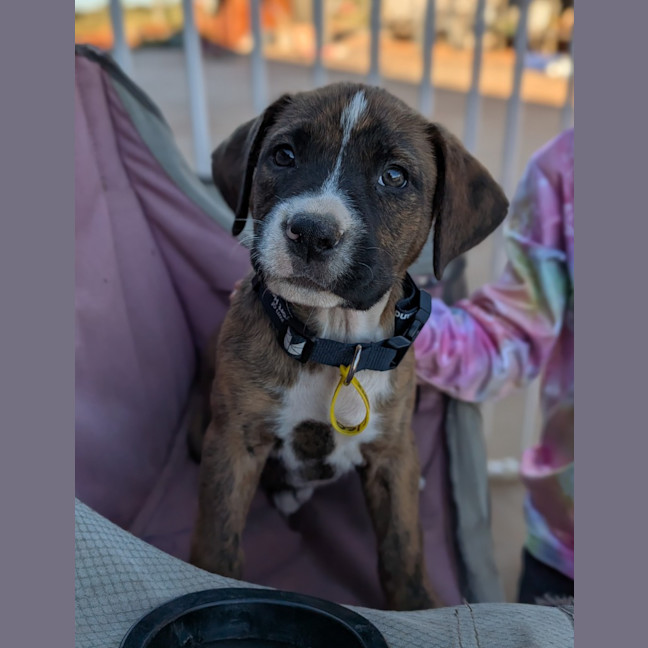 Photo of Cleo