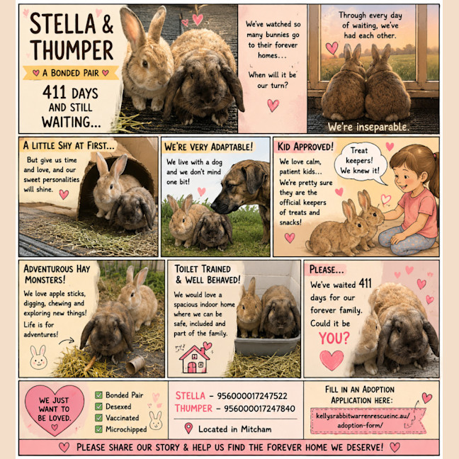 Photo of Stella & Thumper