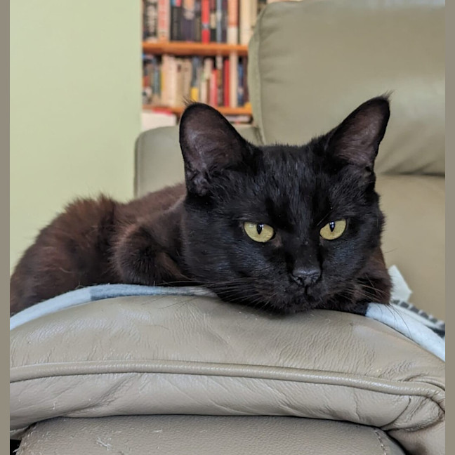 Photo of Elwood