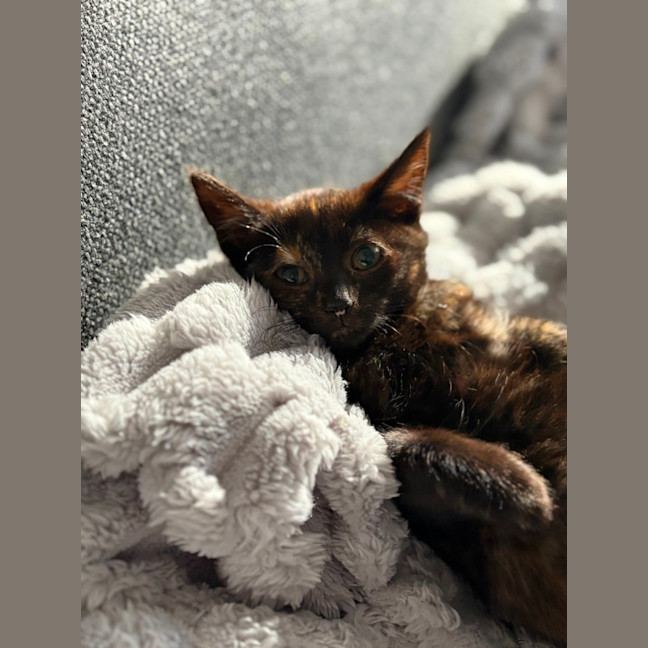 Photo of Willa