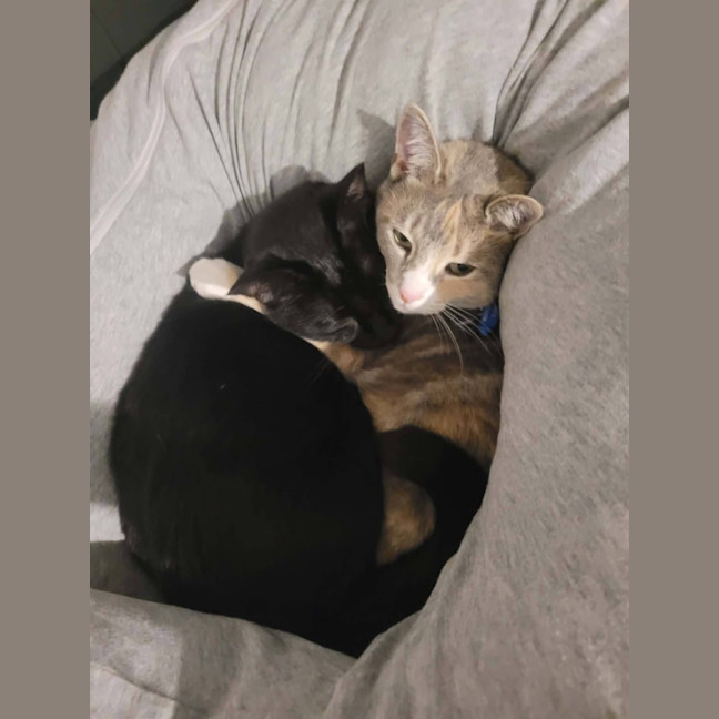 Photo of Giz & Lily